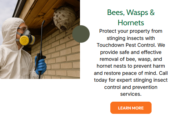 When faced with an ant infestation, it’s best to call a professional ant exterminator in...